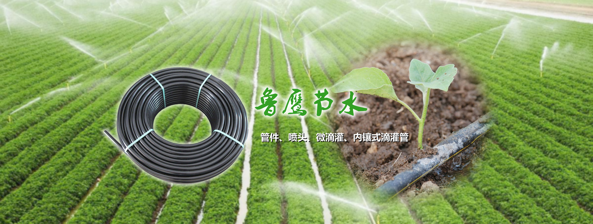 莱芜市鲁鹰节水器材有限公司